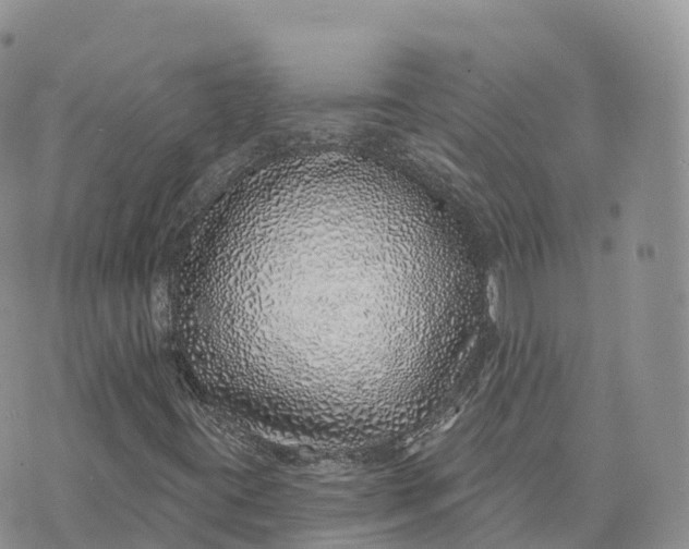 X0000072941395200608111549