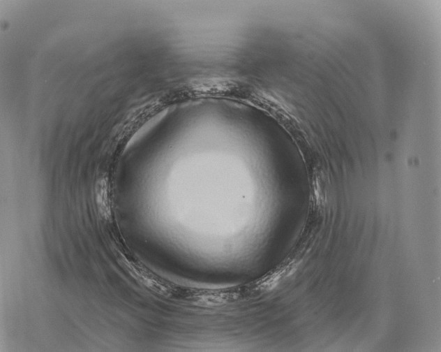 X0000072941396200608111549