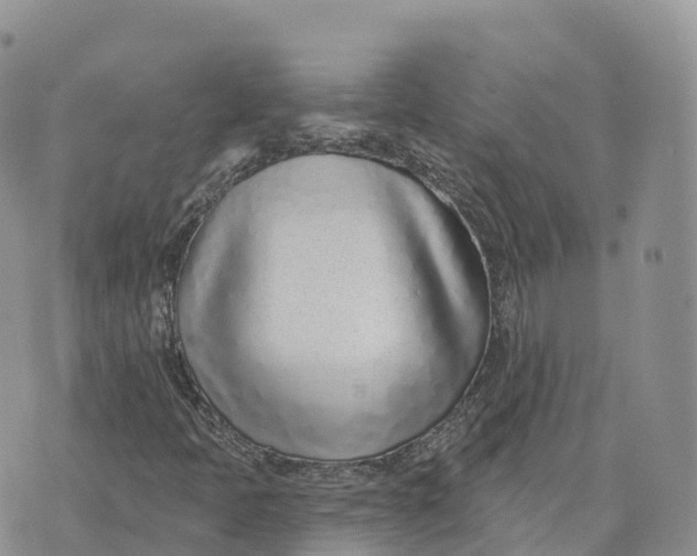 X0000072941397200608111549