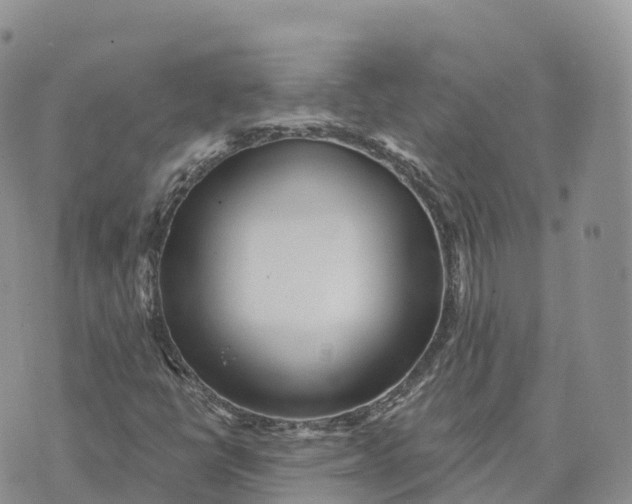 X0000072941398200608111549