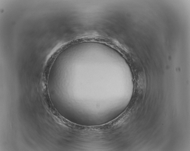 X0000072941400200608111549