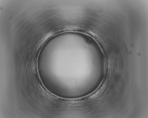 X0000072941401200608111549