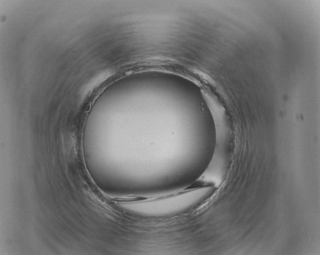 X0000072941402200608111549