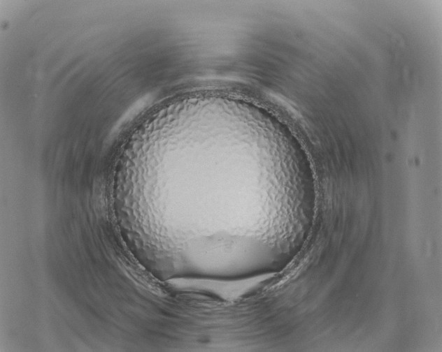 X0000072941403200608111549