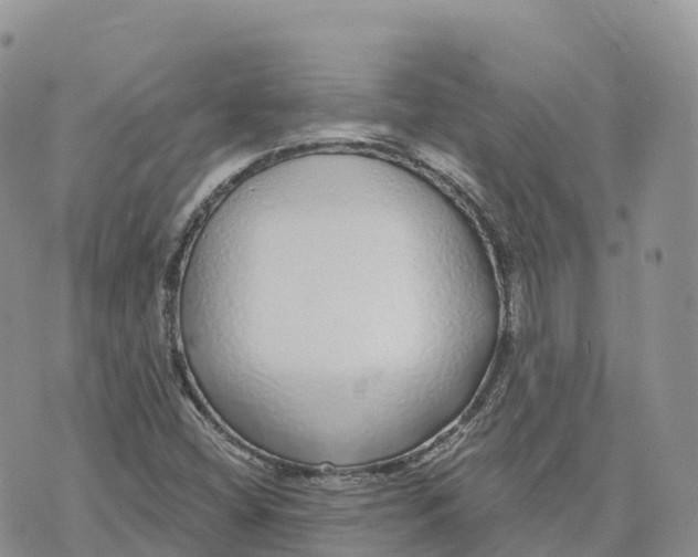 X0000072941404200608111549