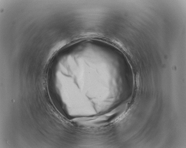 X0000072941405200608111549