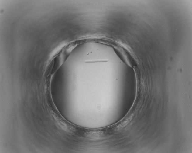 X0000072941406200608111549