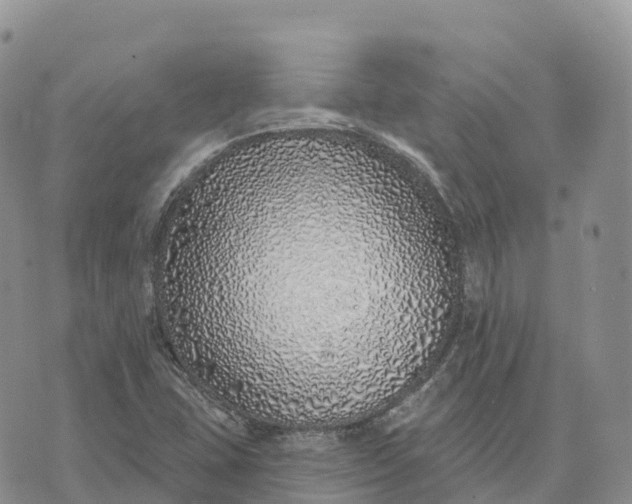 X0000072941407200608111549