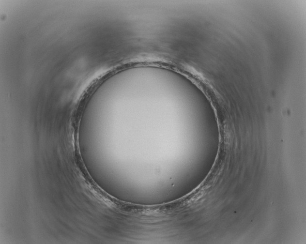 X0000072941408200608111549