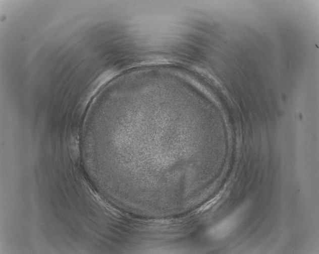 X0000072941409200608111549