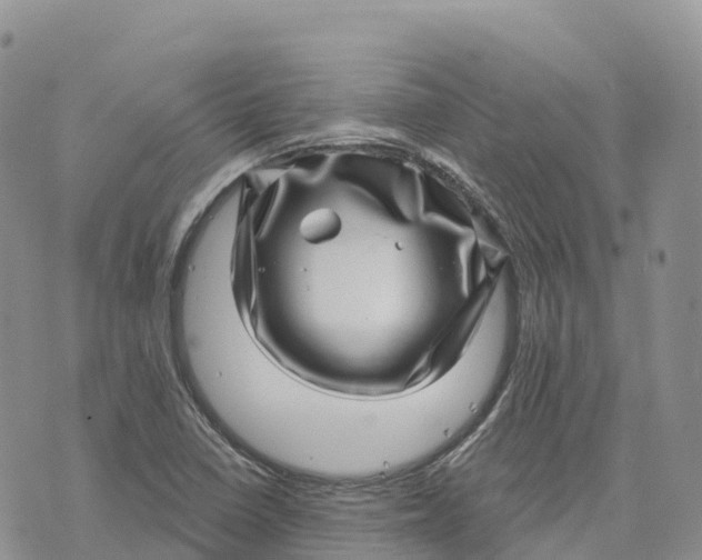 X0000072941410200608111549