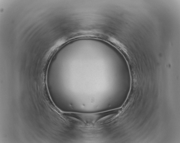 X0000072941411200608111549