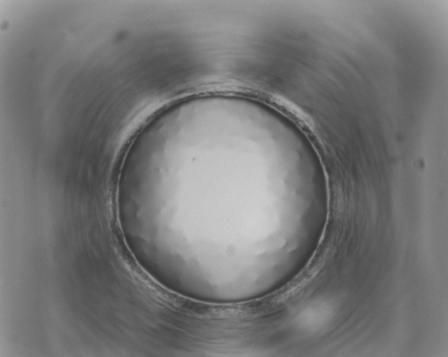 X0000072941415200608111549