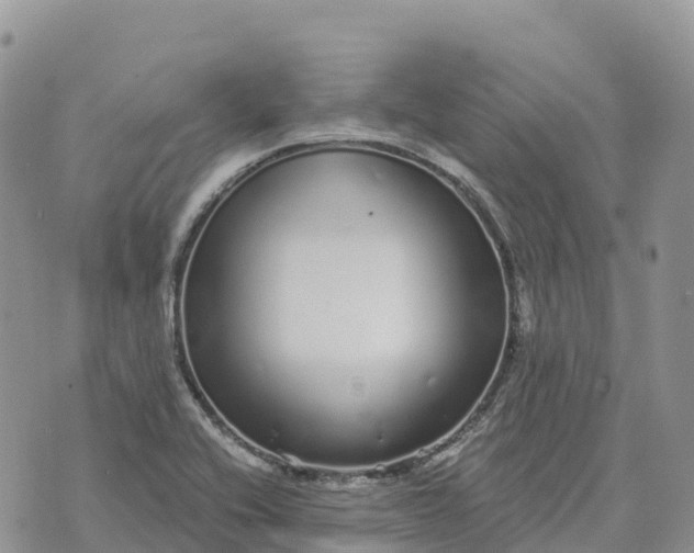 X0000072941416200608111549