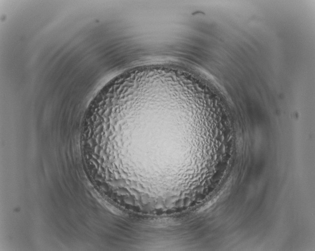 X0000072941417200608111549