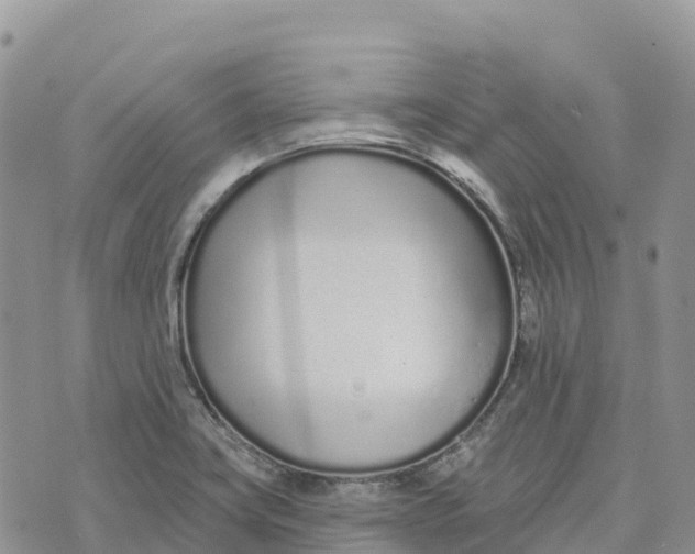 X0000072941419200608111549