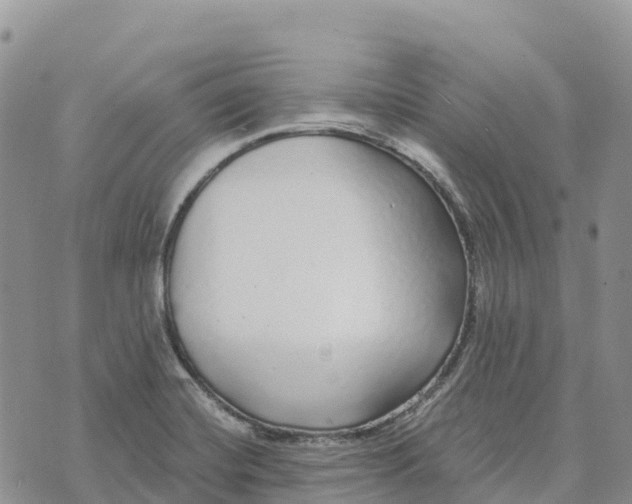 X0000072941420200608111549