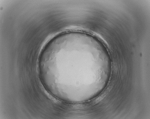 X0000072941421200608111549