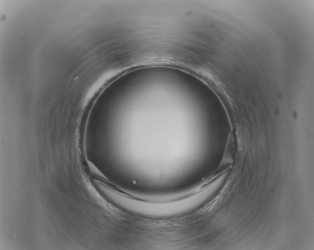 X0000072941422200608111549