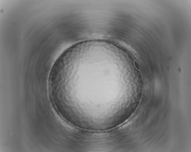 X0000072941423200608111549