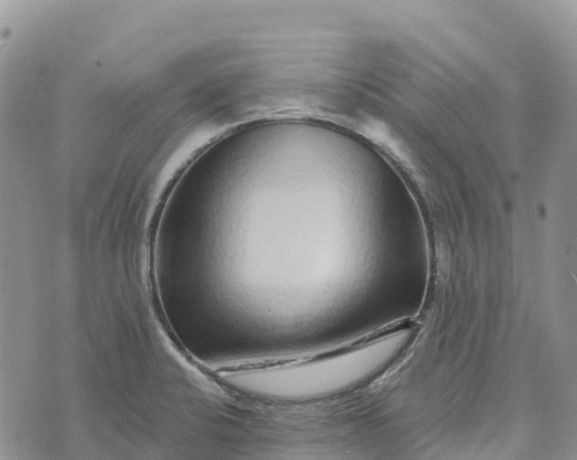 X0000072941424200608111549