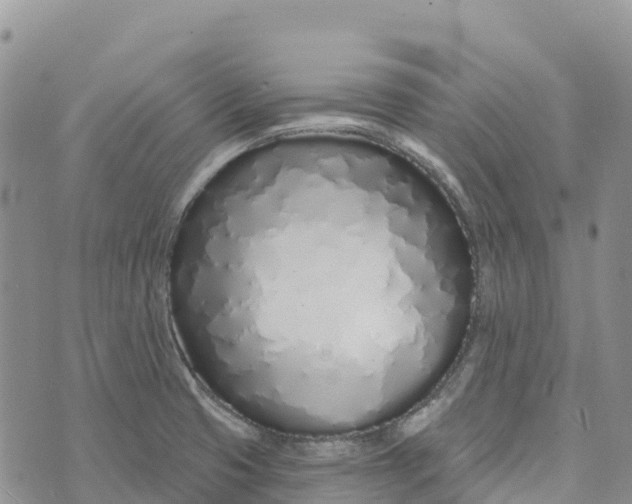 X0000072941425200608111549