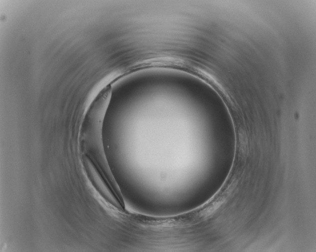 X0000072941426200608111549