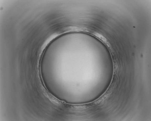 X0000072941427200608111549