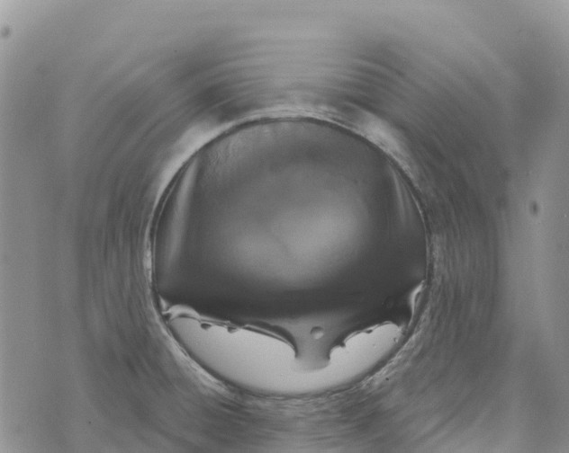 X0000072941428200608111549