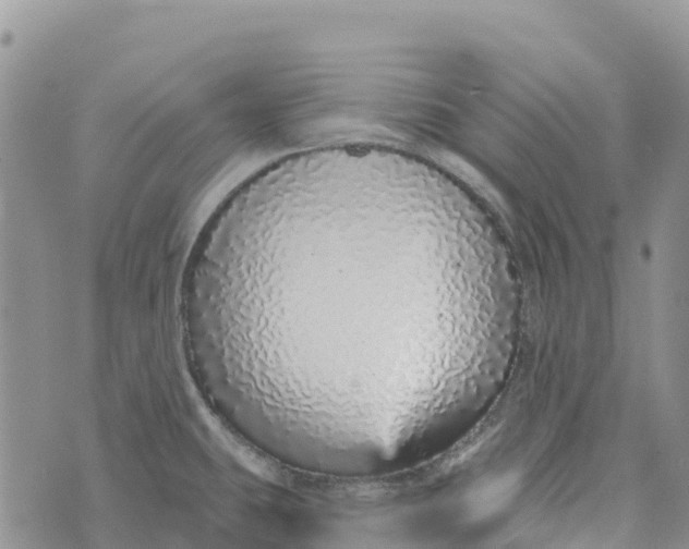 X0000072941431200608111549