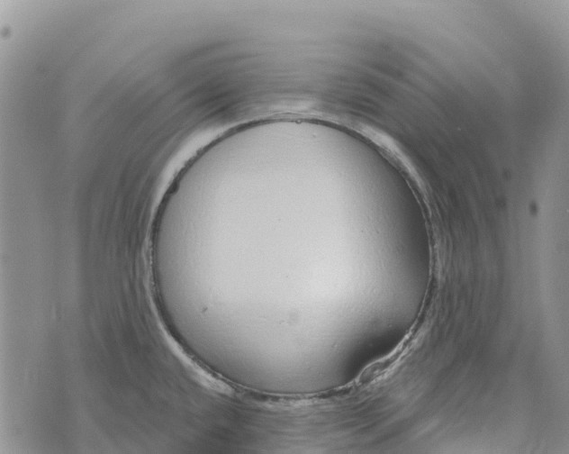 X0000072941432200608111549