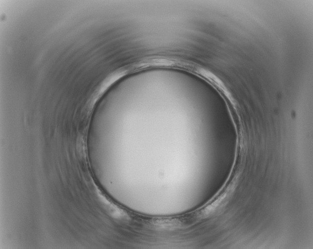 X0000072941433200608111549