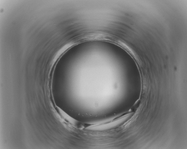 X0000072941434200608111549