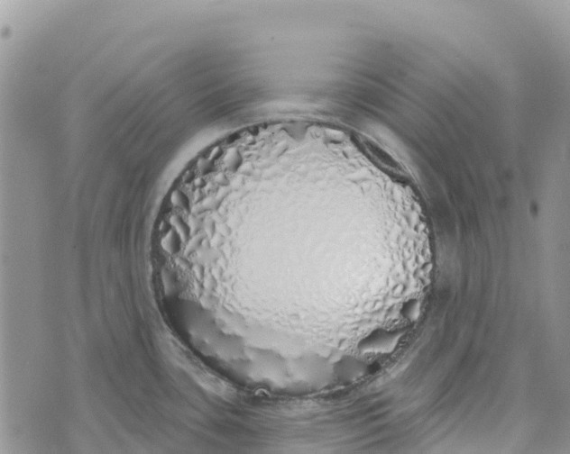 X0000072941435200608111549