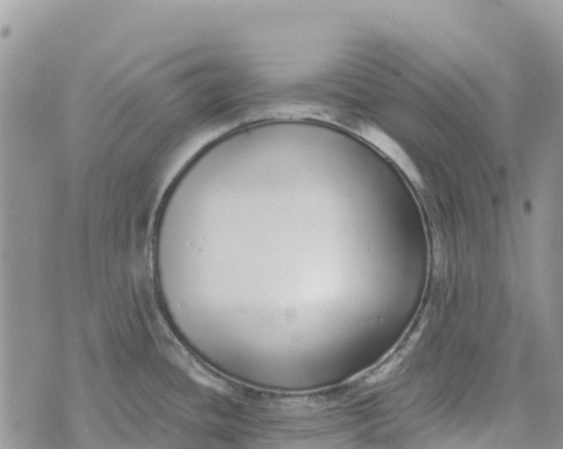 X0000072941436200608111549