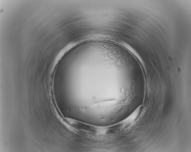 X0000072941437200608111549