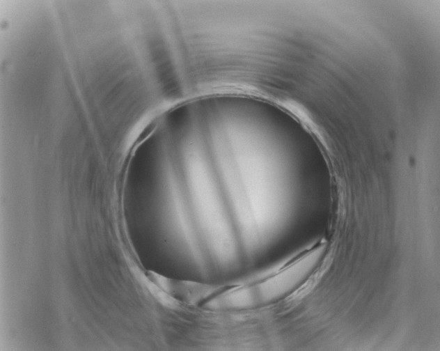 X0000072941438200608111549