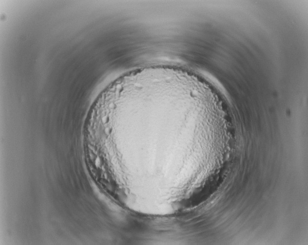 X0000072941439200608111549