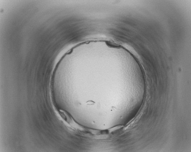 X0000072941440200608111549