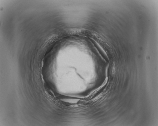 X0000072941441200608111548