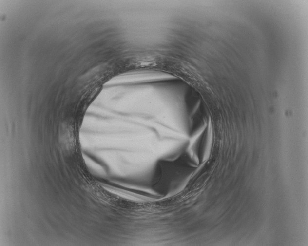 X0000072941442200608111548