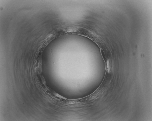 X0000072941443200608111548