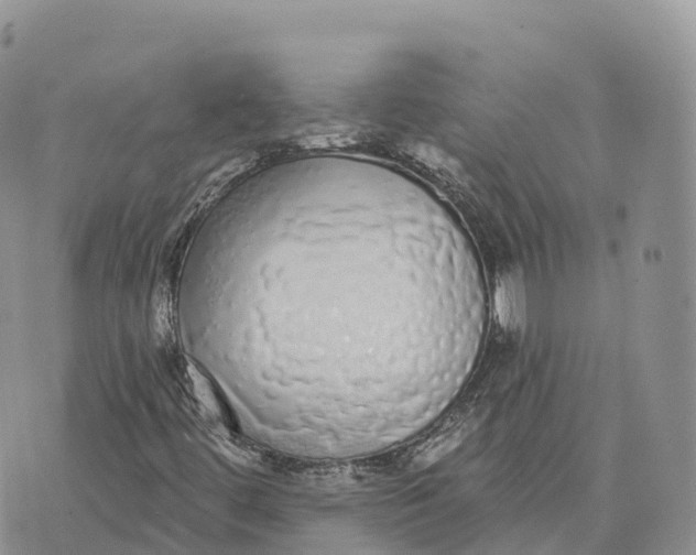 X0000072941444200608111548