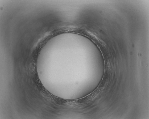 X0000072941447200608111548