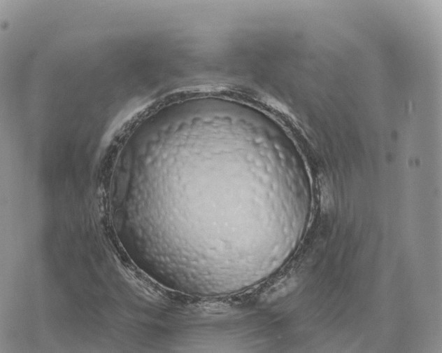 X0000072941448200608111548