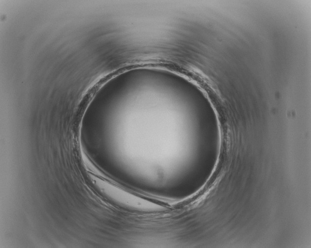 X0000072941449200608111548