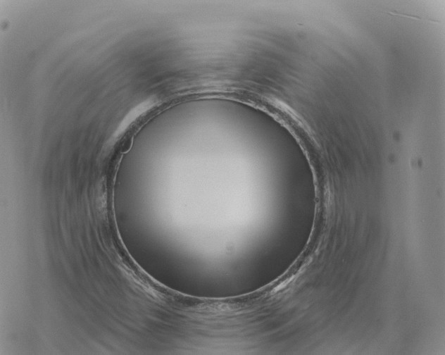 X0000072941450200608111548