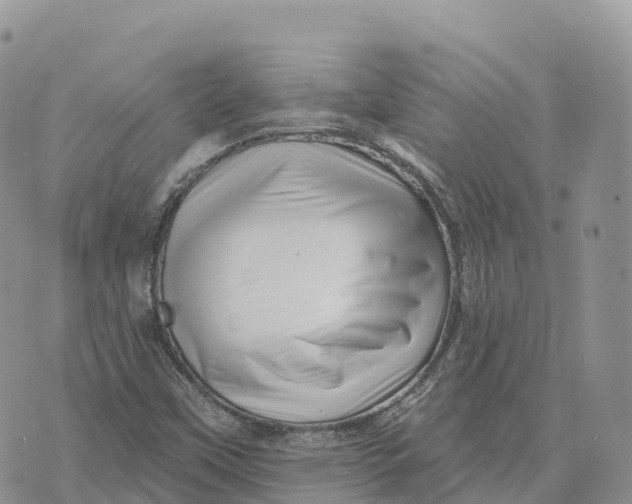 X0000072941451200608111548