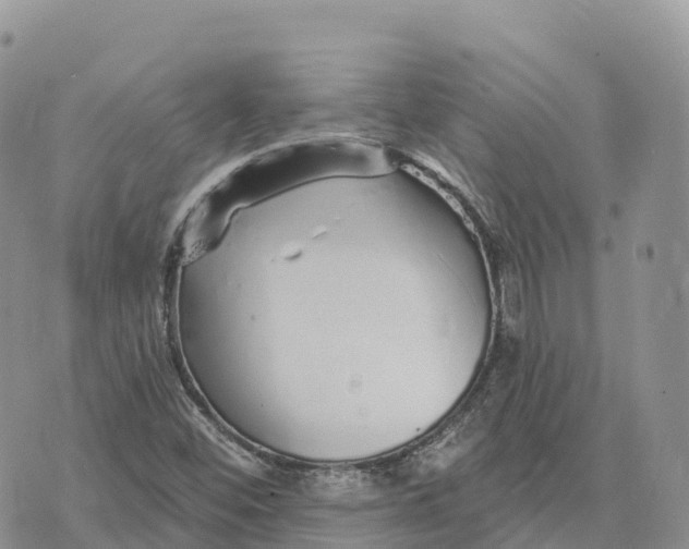 X0000072941452200608111548