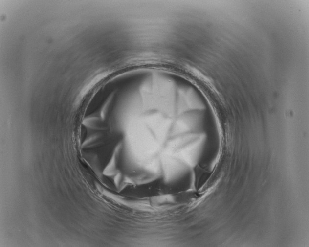 X0000072941453200608111548